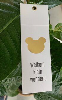 Kaartjes Punkt  Welkom klein wonder !