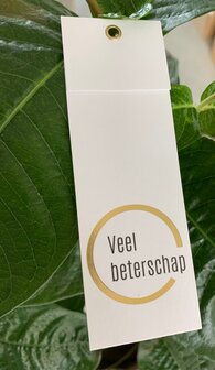 Kaartjes Punkt  Veel beterschap !