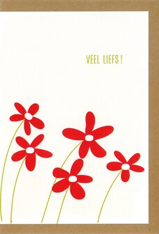 Wenskaart Lief Veel liefs