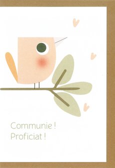 Communiekaart Fini vogel