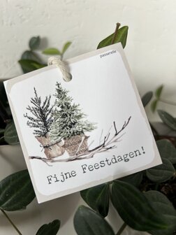 Cozy FIjne Feestdagen