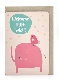 Mick Welcome little baby roos