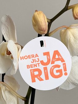 Hip hoera jij bent jarig !