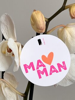 Hip Mama hartje
