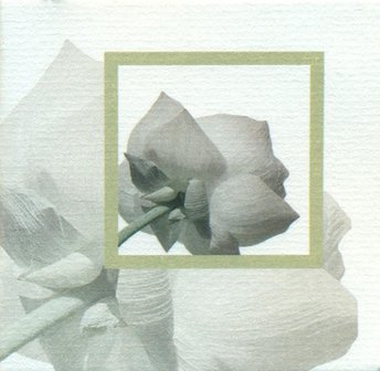 Lotus rouwlabel vierkant blanco