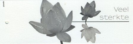 Lotus rouwlabel klein Veel sterkte