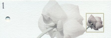 Lotus rouwlabel klein Blanco