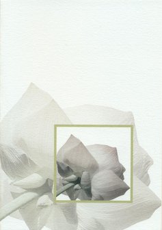 Lotus rouwkaart Blanco